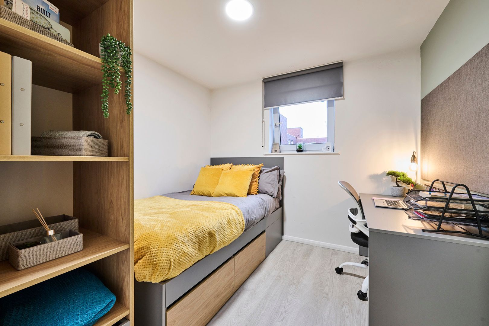 One Bed Apartment